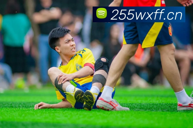 爱游戏手机软件官网平台生态图